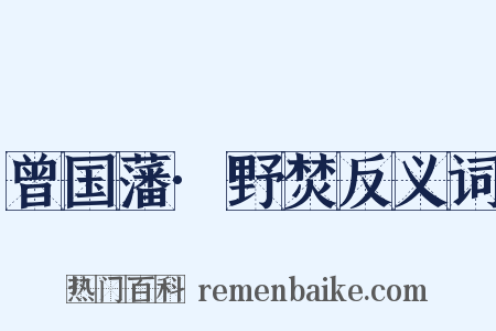 曾国藩·野焚反义词是什么意思的图片